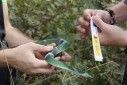 Geocaching Monfragüe y su Entorno. Ruta Dehesa del Robledo