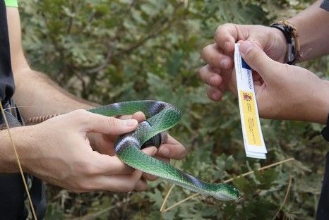 Geocaching Monfragüe y su Entorno. Ruta Dehesa del Robledo